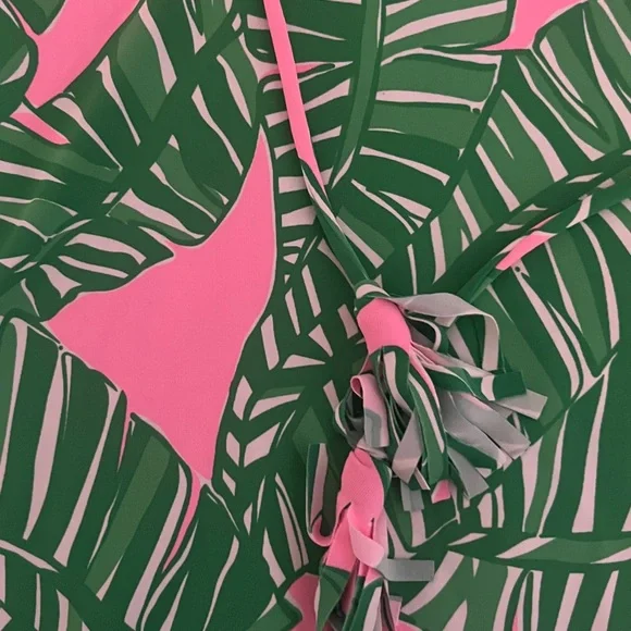 Lilly Pulitzer dress - Picture 4 of 4